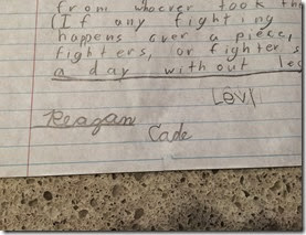 lego constitution 002