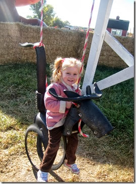 pumpkin patch and more 029