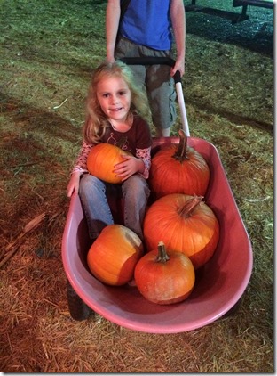 Pumpkin patch, leaves, etc 255edit