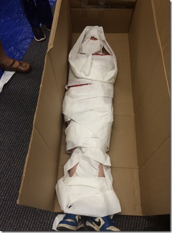 Pumpkin patch, leaves, etc 100