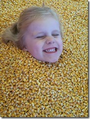 Pumpkin patch, leaves, etc 122