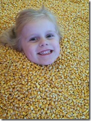 Pumpkin patch, leaves, etc 123