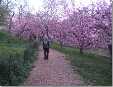 valley forge and new york 067