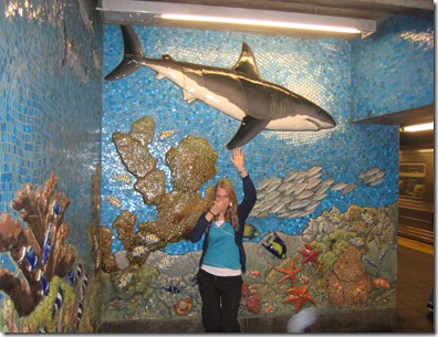 valley forge and new york 070