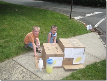 lemonade stand 006