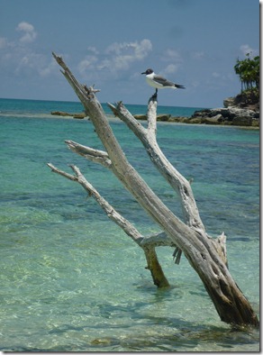 turks and caicos 078