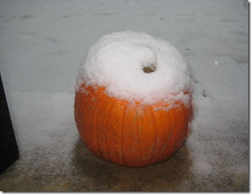 halloween sort of 036