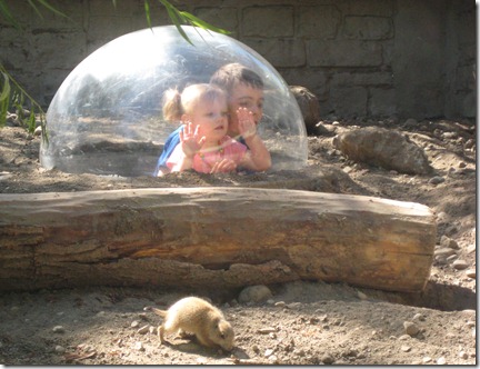 zoo and father's day 015