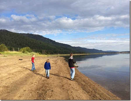 hot air balloons 354