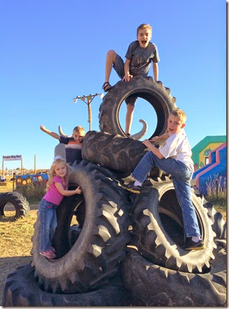 pumpkin patch 066edit