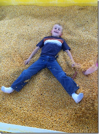 pumpkin patch 042edit