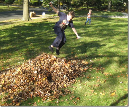 pumpkin patch 118edit