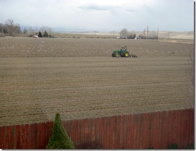 spring at last! edit 001