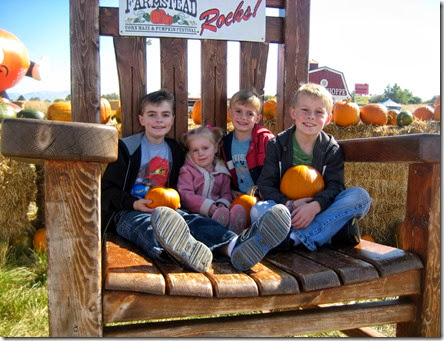 pumpkin patch and more 081