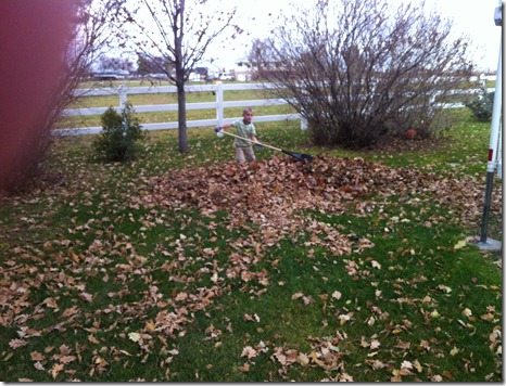 dishes and leaves 023