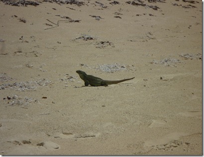 turks and caicos 097