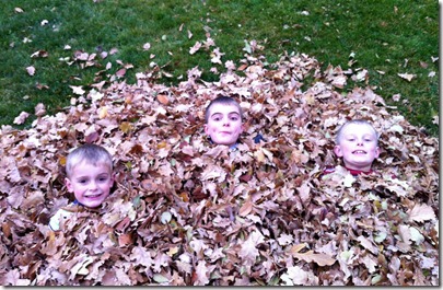 dishes and leaves 029