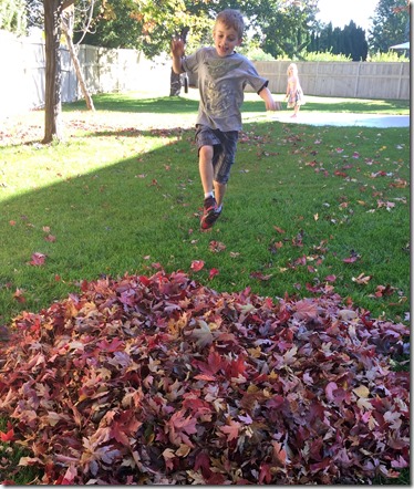 Pumpkin patch, leaves, etc 048edit2