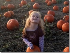 Pumpkin patch, leaves, etc 206edit