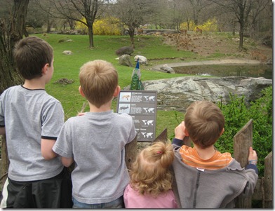 st. patty's day and the zoo 038