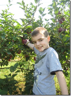 apple picking 028
