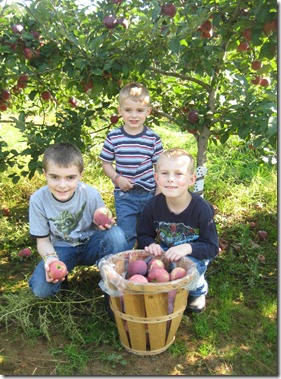 apple picking 032