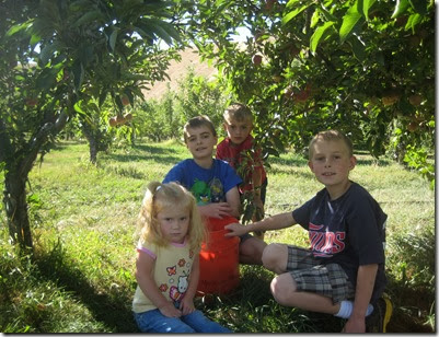 apple picking 024