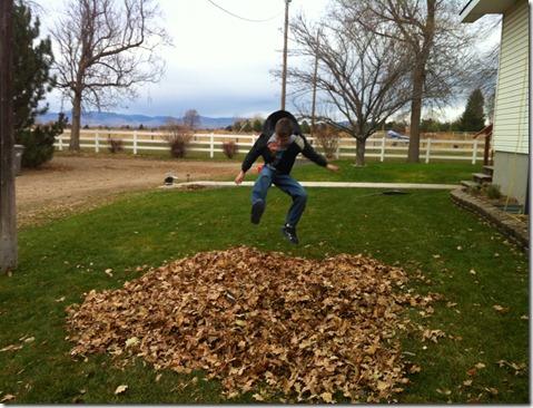 dishes and leaves 034