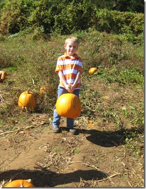 pumpkin patch 062edit
