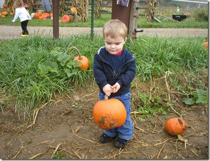 pumpkin patch 020