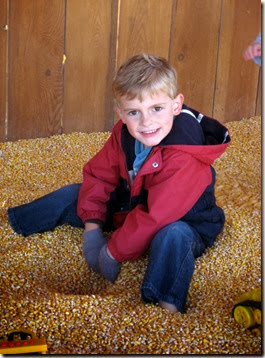 pumpkin patch and more 019