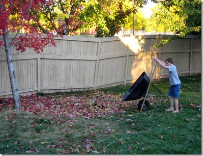 pumpkin patch and more 088